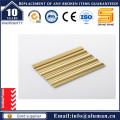 6063 Serie Aluminium Extrusion Profil